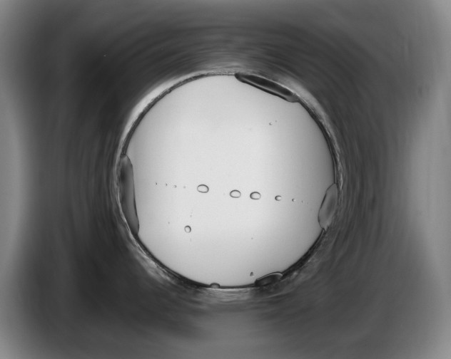 X0000086341344200704202054