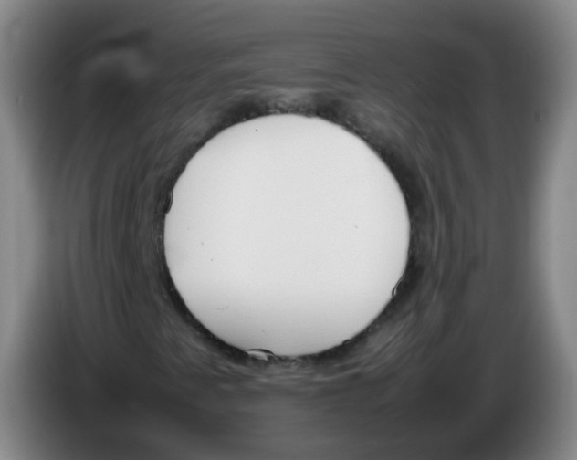 X0000086341345200704202053
