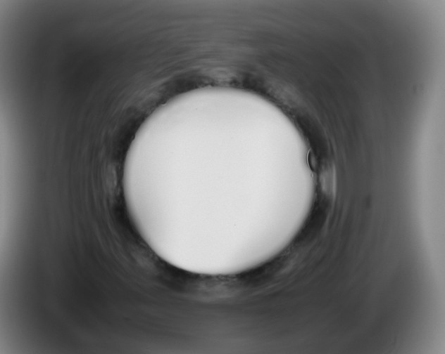 X0000086341347200704202053