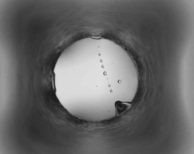 X0000086341349200704202053