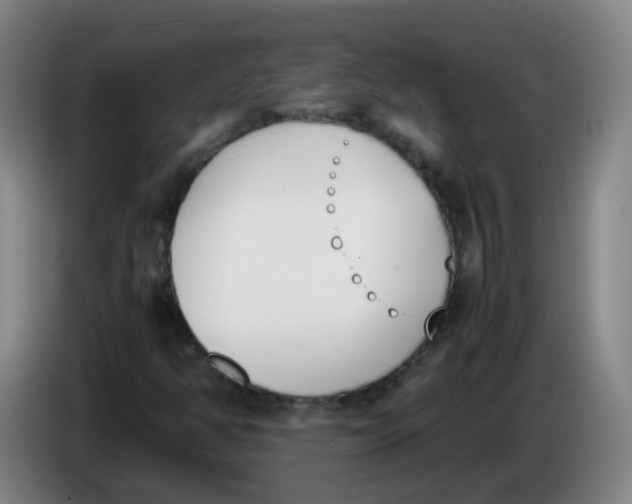 X0000086341350200704202053