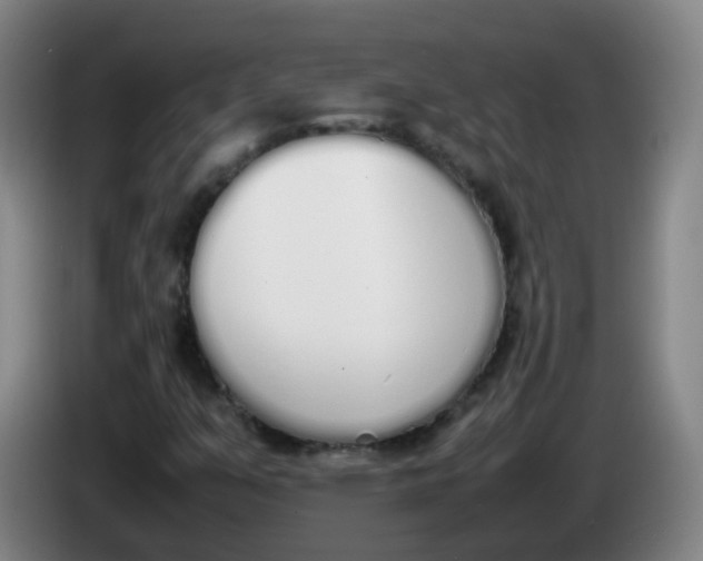 X0000086341351200704202053