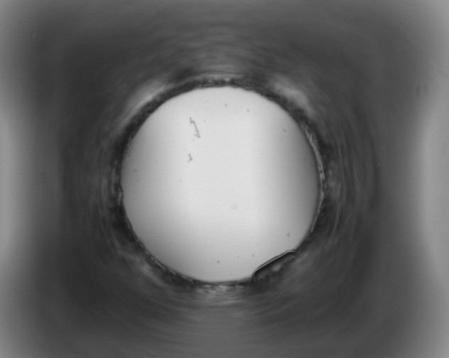 X0000086341352200704202053