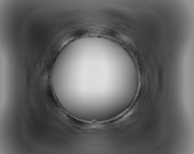 X0000086341353200704202053