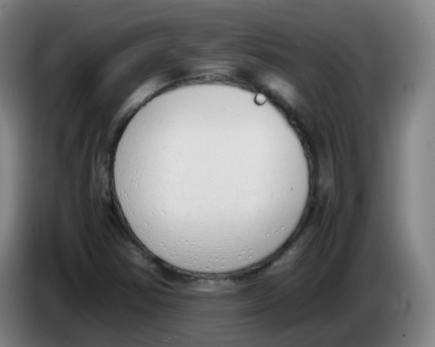 X0000086341354200704202053
