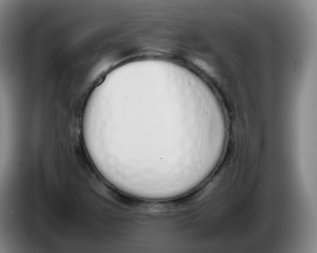 X0000086341355200704202053
