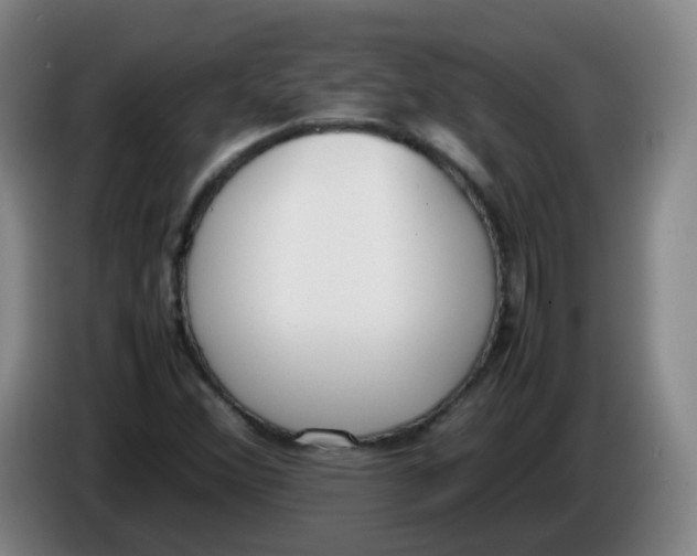 X0000086341356200704202053