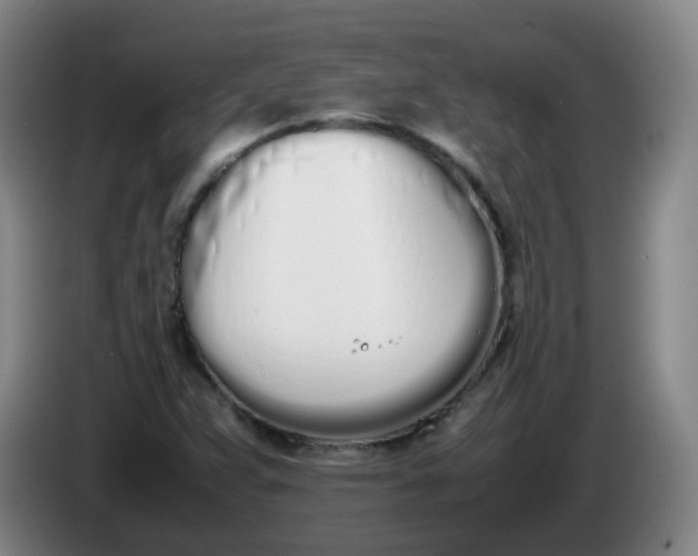 X0000086341359200704202053