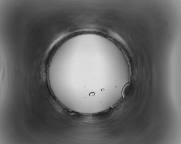 X0000086341360200704202053