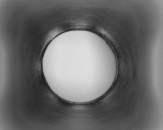 X0000086341362200704202053