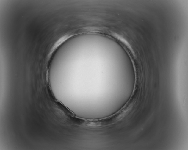 X0000086341365200704202053