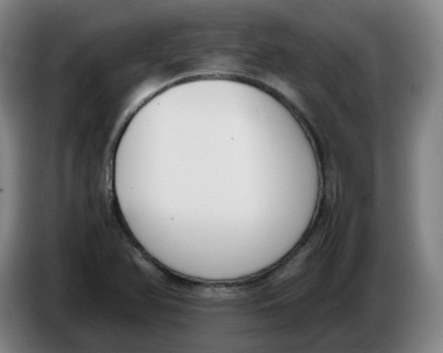 X0000086341366200704202053