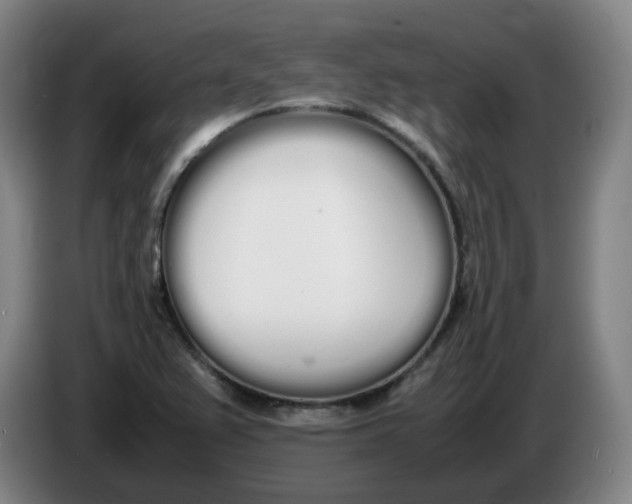 X0000086341367200704202053