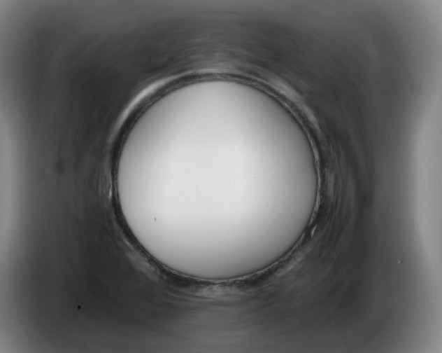 X0000086341368200704202053