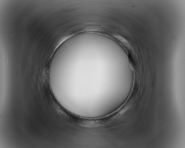 X0000086341369200704202053