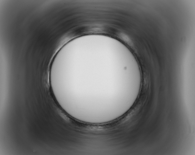 X0000086341370200704202053