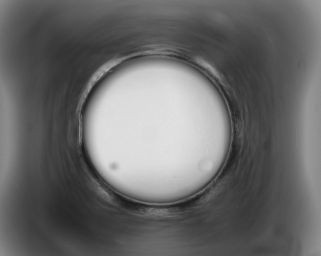 X0000086341371200704202053