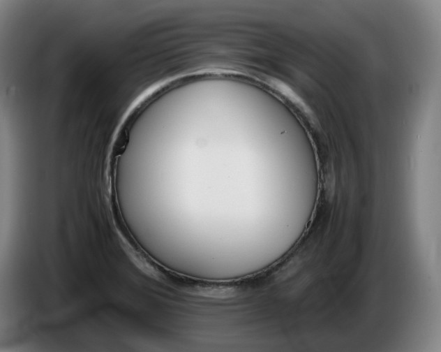 X0000086341372200704202053