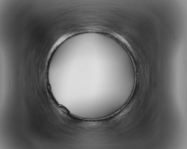 X0000086341373200704202053