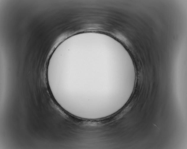 X0000086341374200704202053