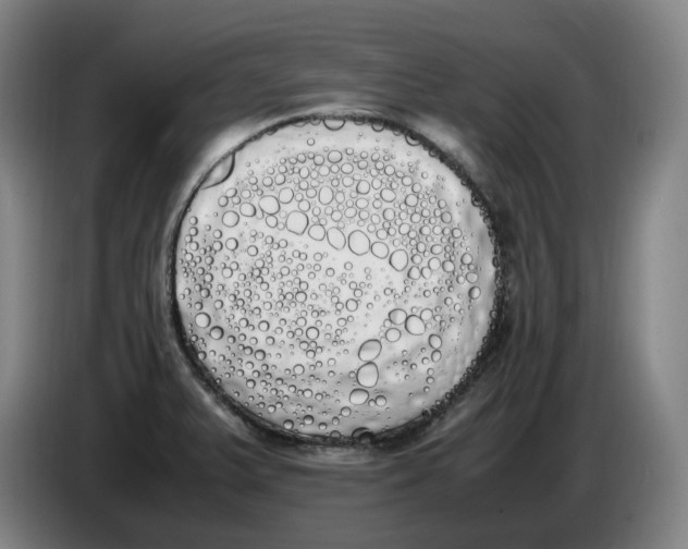 X0000086341375200704202053