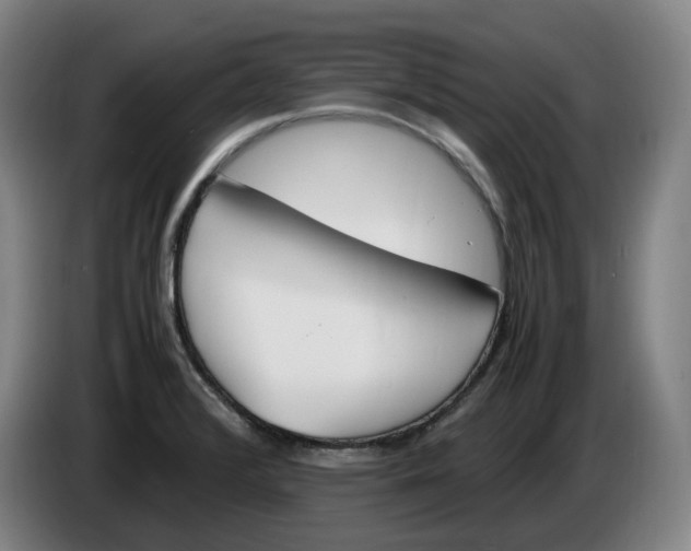 X0000086341376200704202053