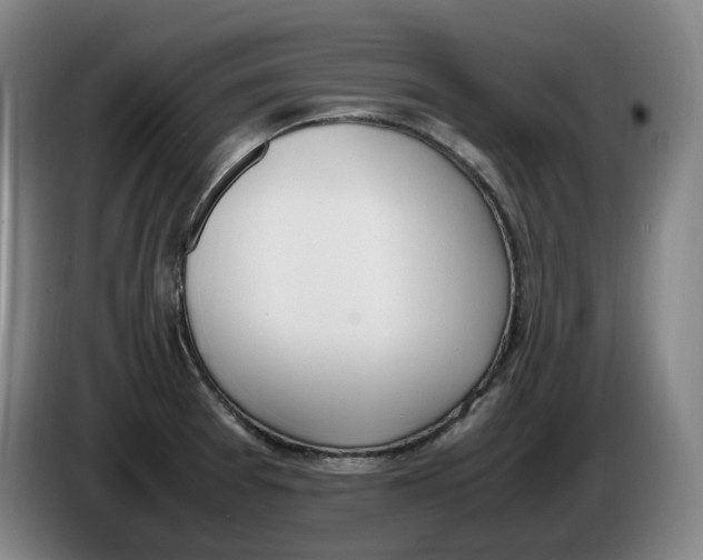 X0000086341377200704202053