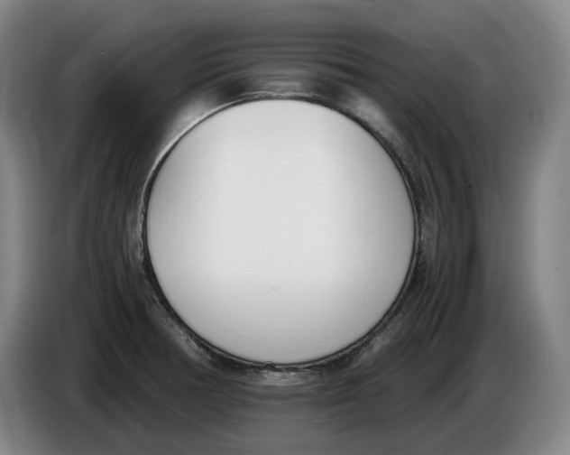 X0000086341378200704202053