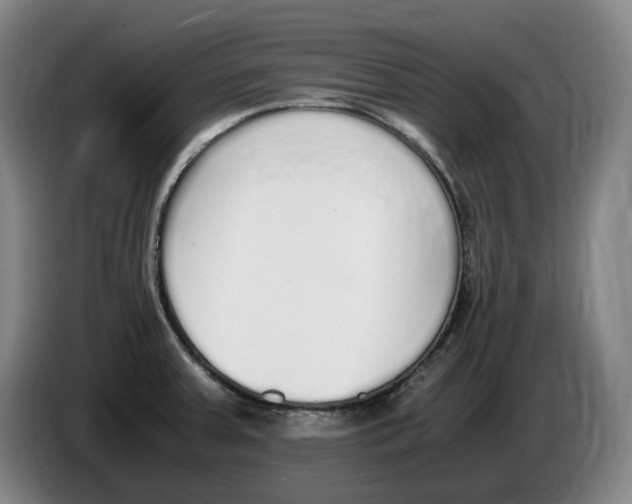 X0000086341379200704202053