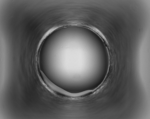 X0000086341381200704202053