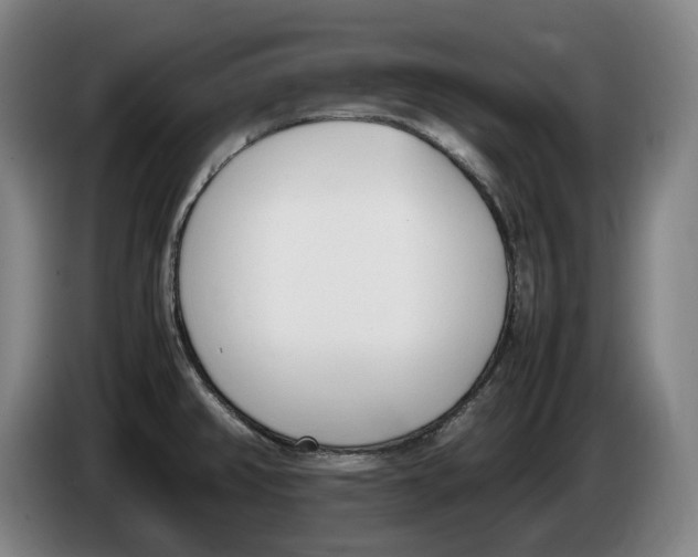 X0000086341382200704202053