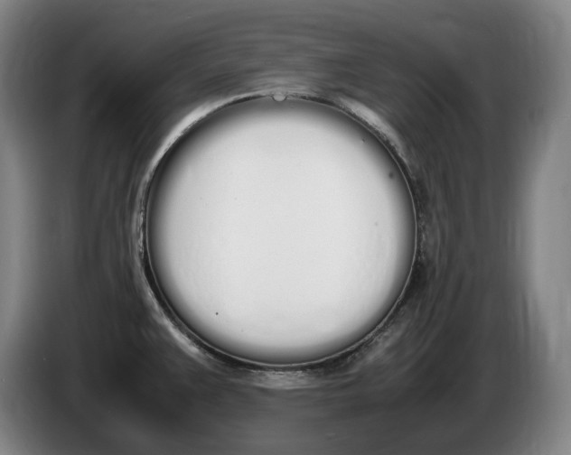 X0000086341383200704202052