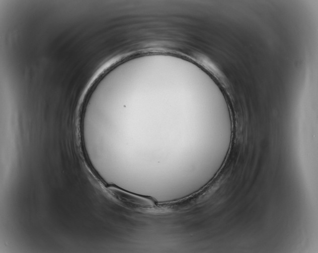 X0000086341384200704202052