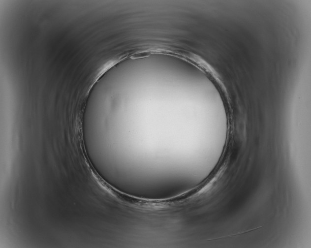 X0000086341385200704202052