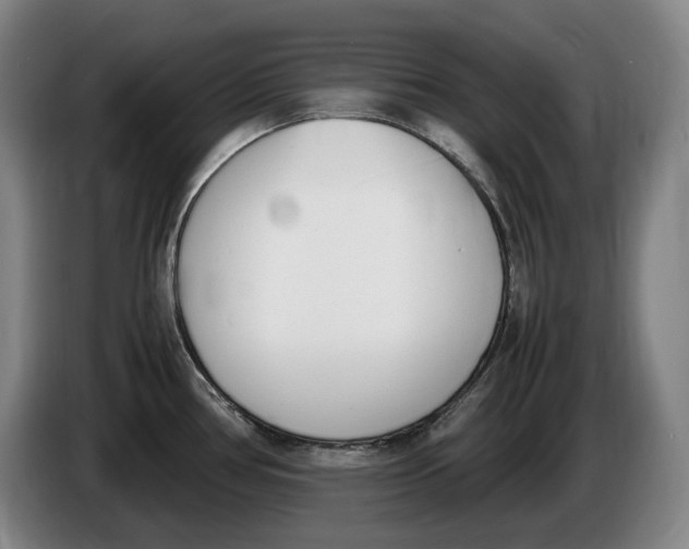 X0000086341386200704202052
