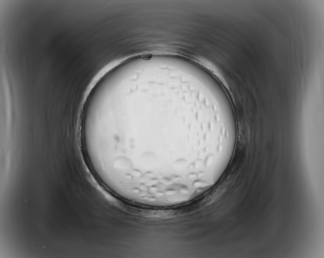 X0000086341387200704202052