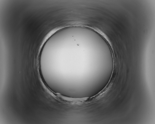 X0000086341389200704202052