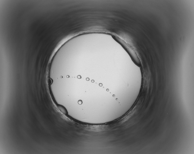 X0000086341390200704202052