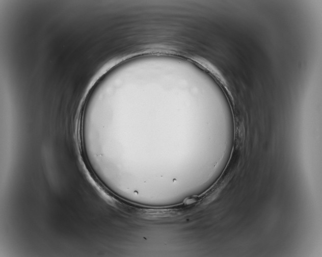 X0000086341391200704202052