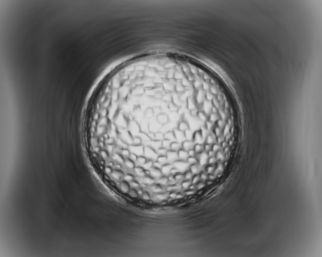 X0000086341392200704202052
