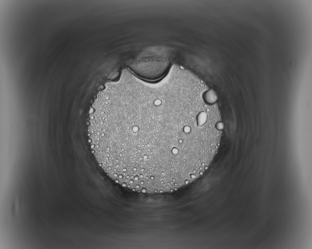 X0000086341393200704202052