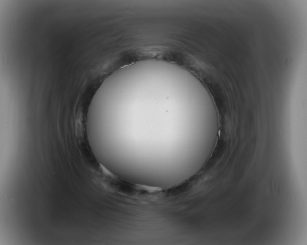 X0000086341394200704202052