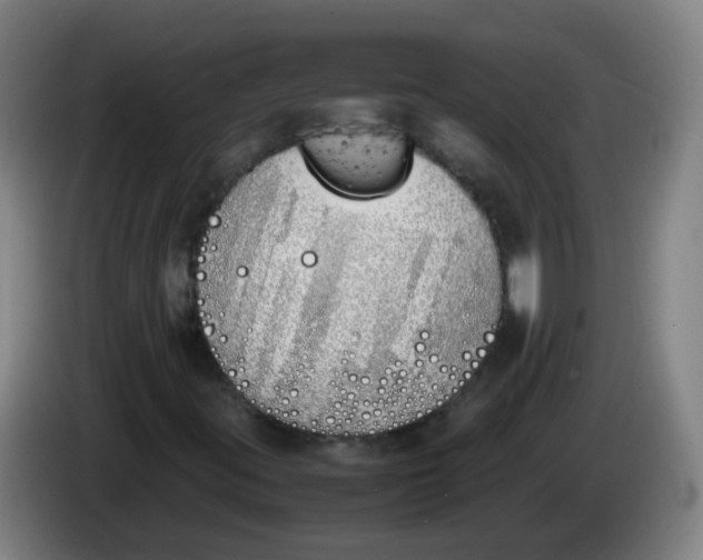 X0000086341395200704202052