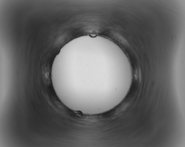 X0000086341396200704202052