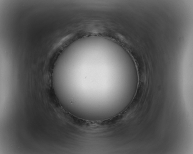 X0000086341398200704202052