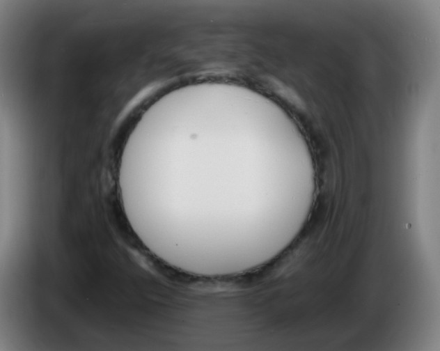 X0000086341400200704202052