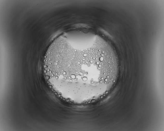 X0000086341401200704202052