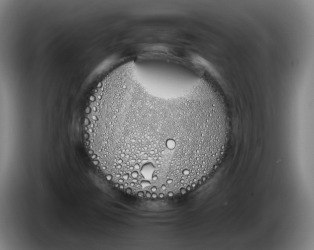 X0000086341403200704202052