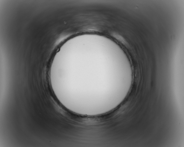 X0000086341404200704202052