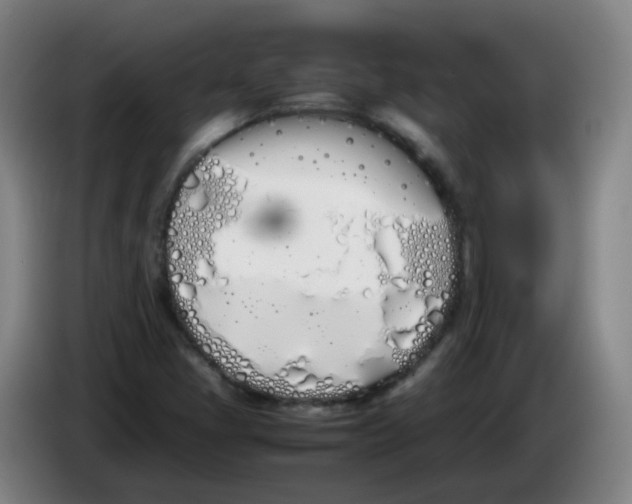 X0000086341405200704202052